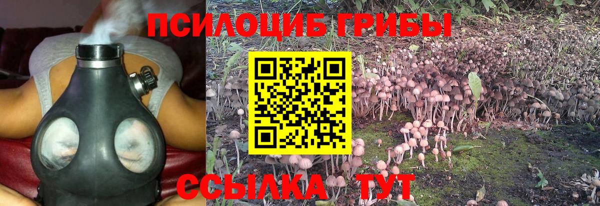 Нальчик  Псилоцибиновые грибы GOLDEN TEACHER  Вход с VPN 