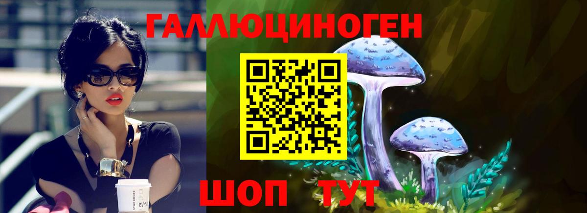 Псилоцибиновые грибы Magic Shrooms Нальчик